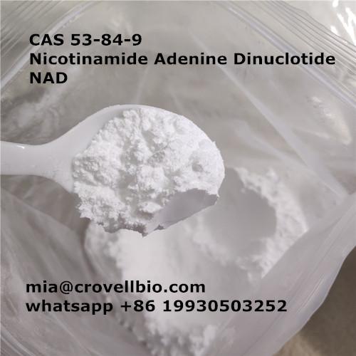 CAS 53-84-9     Nicotinamide Adenine Dinuclotide   NAD ( mia@crovellbio.com  whatsapp +86 19930503252 