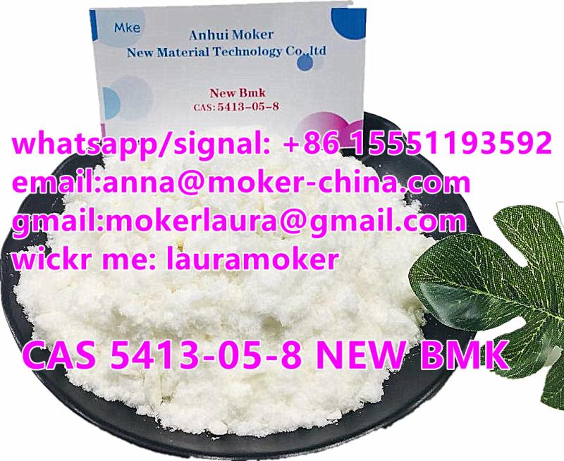 CAS 5413-05-8 Ethyl 3-oxo-4-phenylbutanoate/new bmk