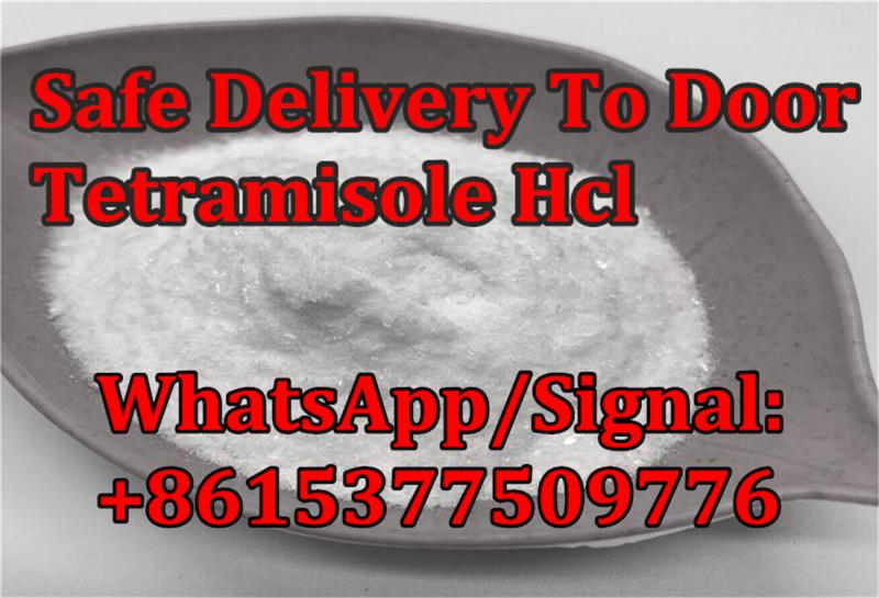 High Purity Tetramisol HCl Powder China Supplier Manufacturer