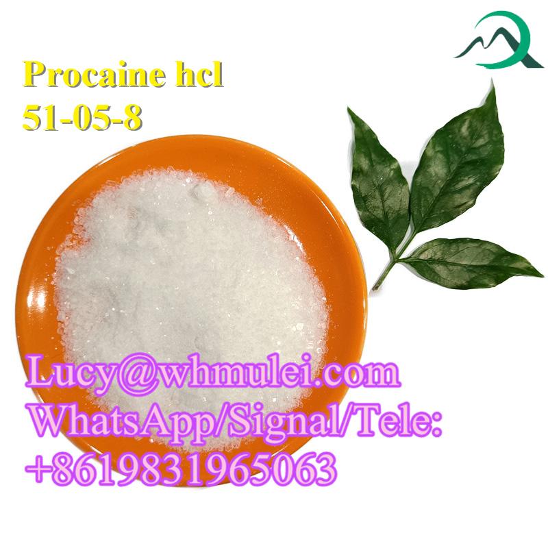 Procaine hcl CAS 51-05-8 Local Anesthetics Drug China factory price