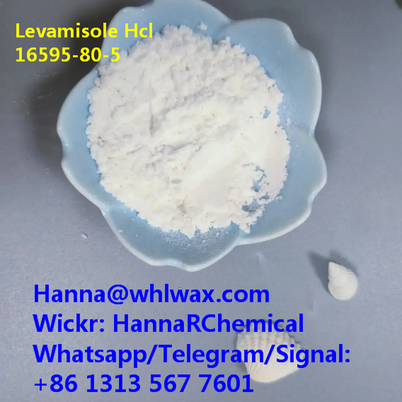CAS 16595-80-5 Levamisole hydrochloride High Purity Powder China Factory Supplier 
