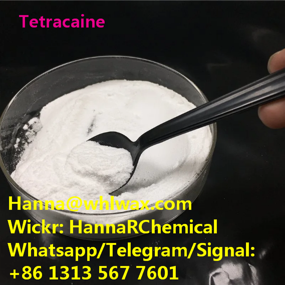 CAS 94-24-6 Tetracaine High Purity Powder China Factory Supplier 