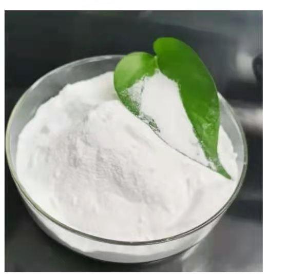 Top Purity Benzocaine HCl CAS 10250-27-8 / CAS 23056-29-3 with Best Price