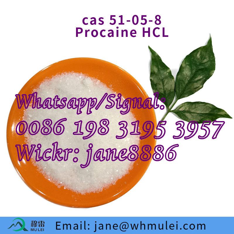 Order Lidocaine / Benzocaine / Tetracaine/ Procaine HCl Hydrochloride CAS 59-46-1 Procaine From China Supplier