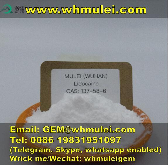 Top china manufacturer supply Lidocaine  CAS137-58-6 contact No.: 0086 19831951097