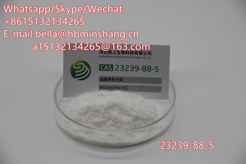 High Purity CAS 23239-88-5 Benzocaine HCL with Low price