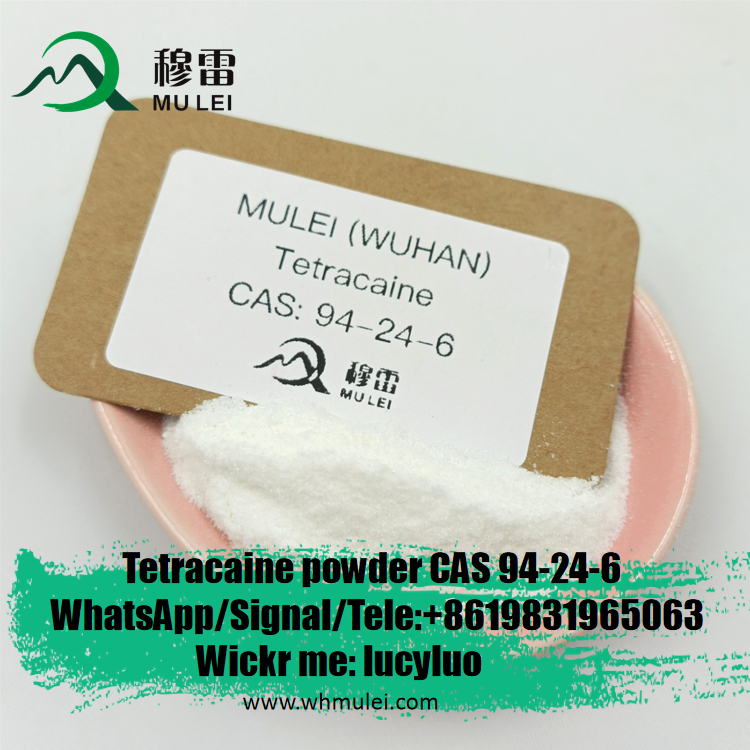 Pure Tetracaine with USP Bp Standard Tetracaine HCl 94-24-6 Supply Tetracaine