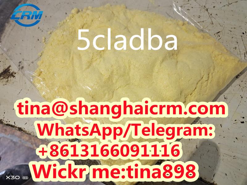 Top quality 5cladba with high purity and lowest price