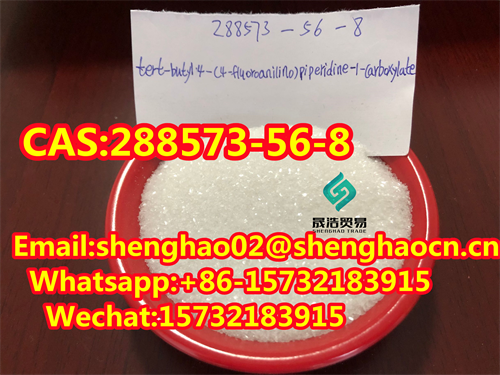 Hot Sale Tert-Butyl 4- (4-fluoroanilino) CAS: 288573-56-8 with Best Price 99.9% white powder