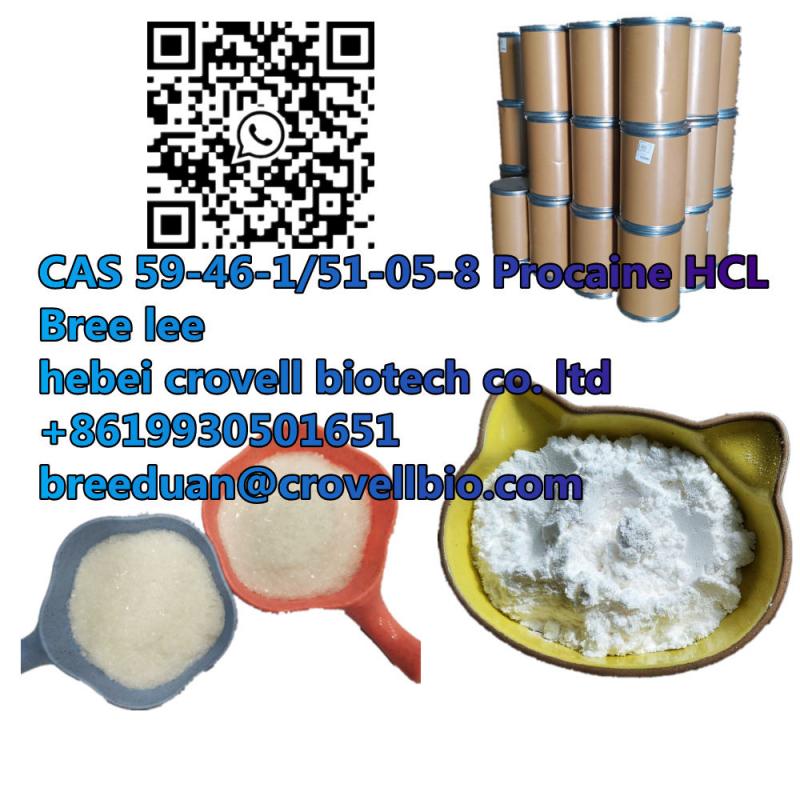 Find faithful suppllier CAS 59-46-1/51-05-8 Procaine HCL/procaine base For APIs 0086 19930501651
