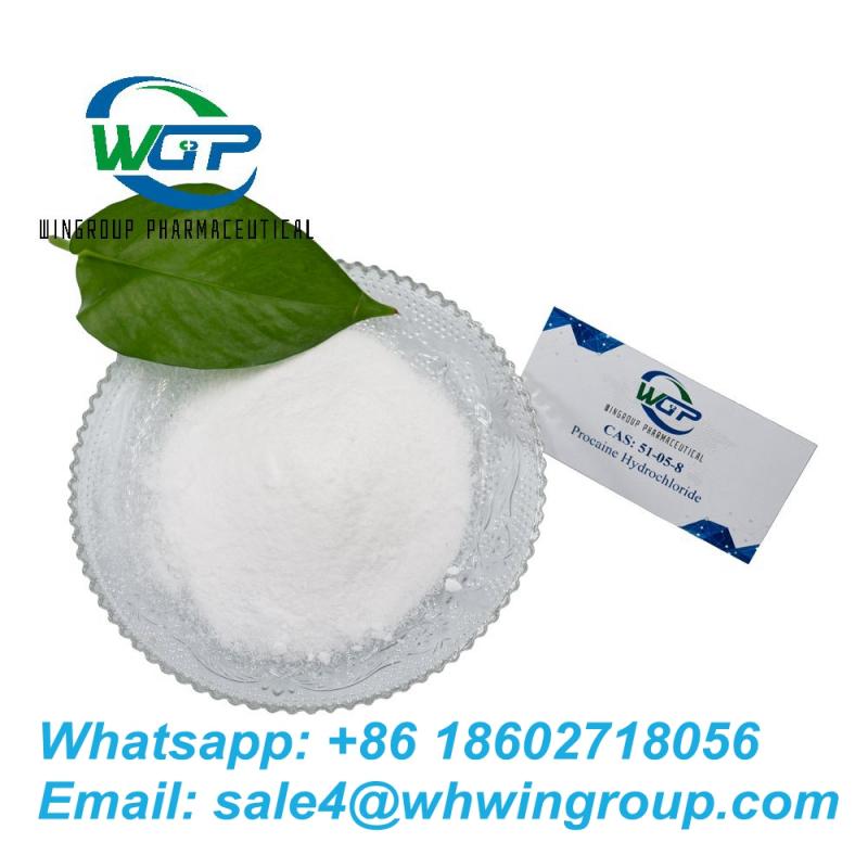 Supply Procaine hydrochloride CAS:51-05-8 with Top Quality and Safe Delivery to Russia/EU Whatsapp:+86 18602718056