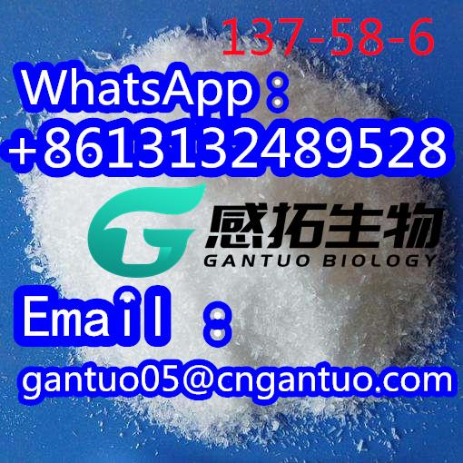 Lidocaine CAS 137-58-6