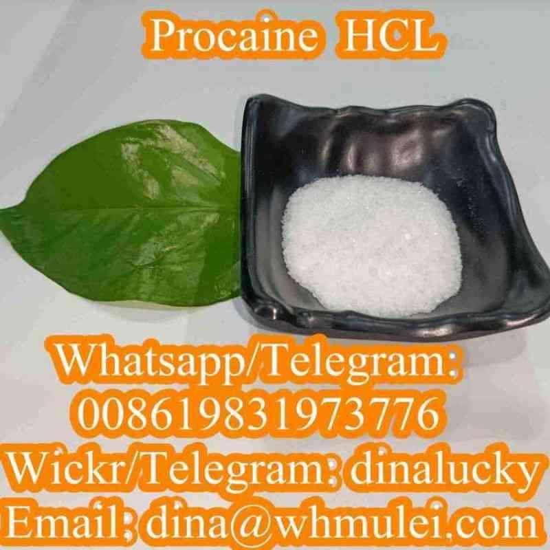 Factory Supply High Quality Procaine Hydrochloride / Procaine HCl CAS 51-05-8