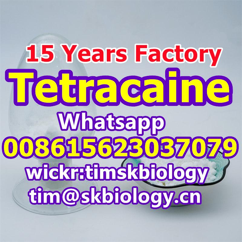 The biggest China factory----Tetracaine CAS 94-24-6