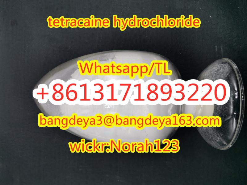 sell high quality  tetracaine hydrochloride CAS 136-47-0