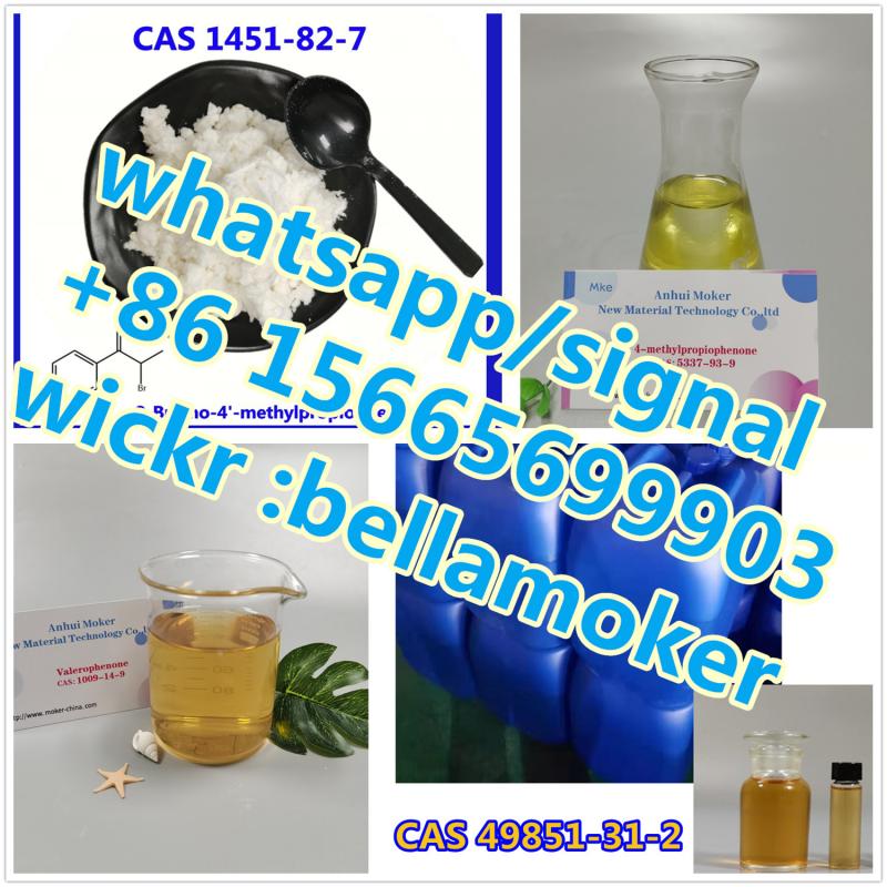 1451-82-7 2-Bromo-4'-methylpropiophenone 593-51-1 Methylamine hydrochloride