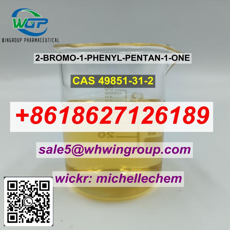  2-BROMO-1-PHENYL-PENTAN-1-ONE CAS 49851-31-2 +8618627126189