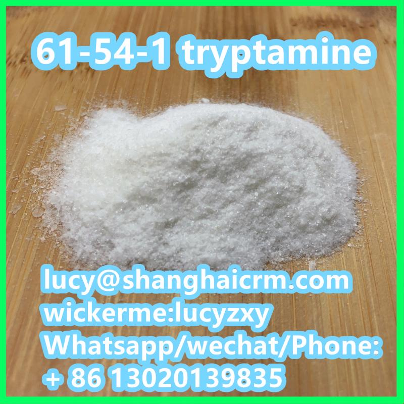 Factory Price dimethyl tryptamine powder Tryptamine CAS 61-54-1