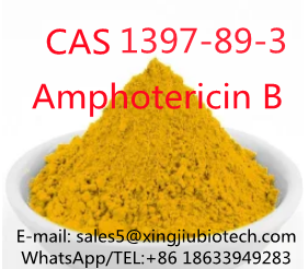 99% High Purity Amphotericin B Powder CAS1397-89-3 with Best Price