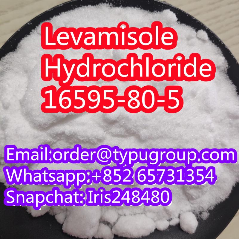 Nice price amazing quality Levamisole hydrochloride CAS 16595-80-5 Whatsapp:+852 46079074