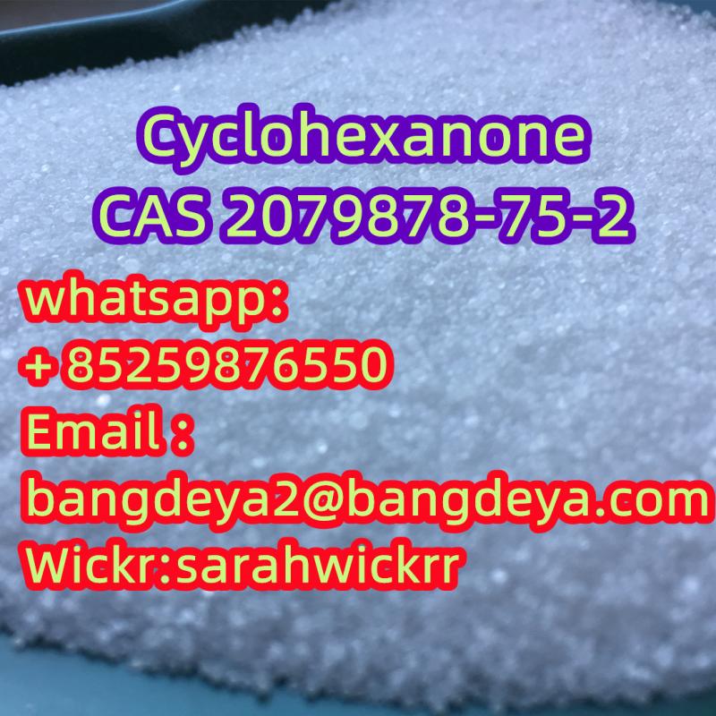 2079878-75-2 (2-Chlorophenyl)thiourea Chinese manufacturers