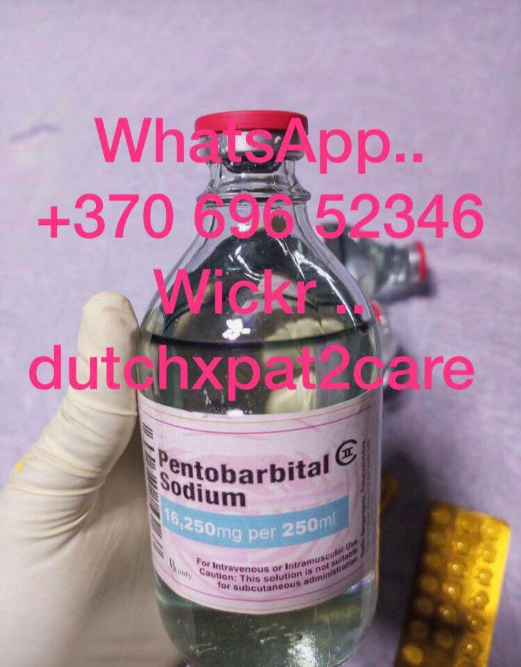 buy Pentobartital sodium available