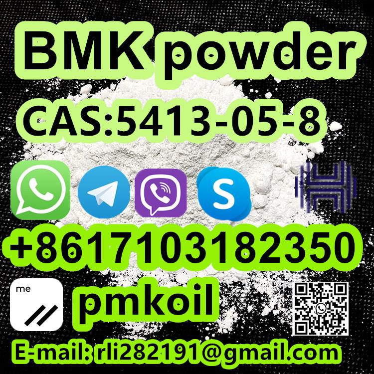 CAS 5413-05-8 BMK oil/powder 5449-12-7 CAS 20320-59-6 Bmk Oil