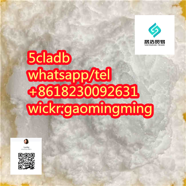 CAS 137350-66-4 5cladb/5cl-adb-a/5cladba/Factory supply