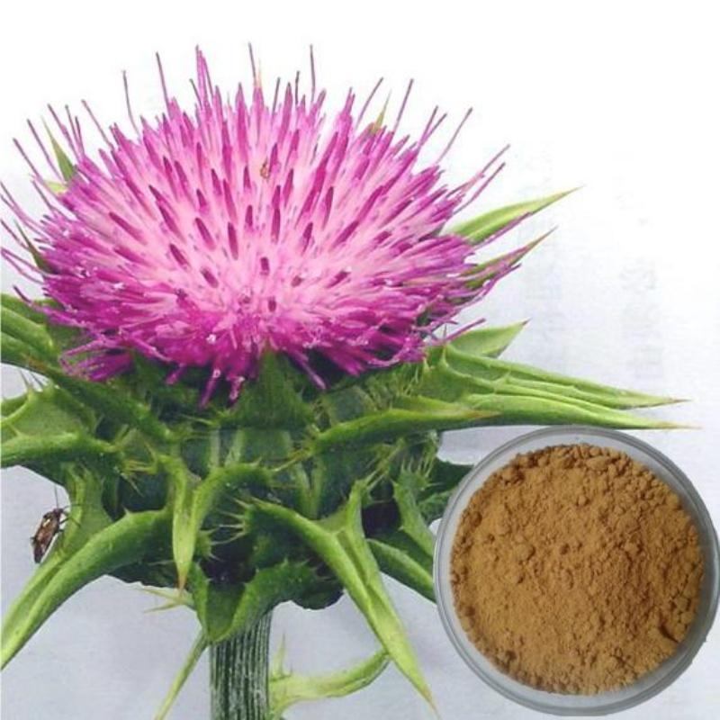 Milk Thistle Extract 