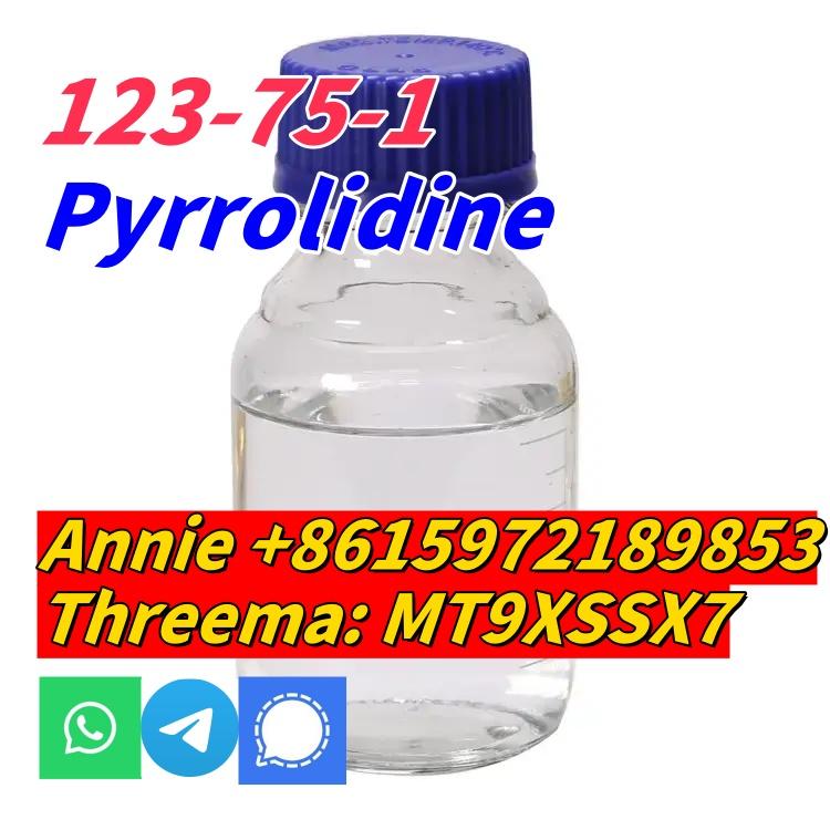 good quality Pyrrolidine CAS 123-75-1 factory supply with low price and fast shipping