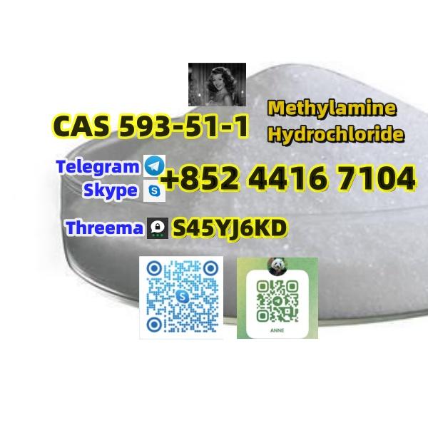 Best Sell Methylamine Hydrochloride CAS 593-51-1 4551-92-2 +852 4416 7104