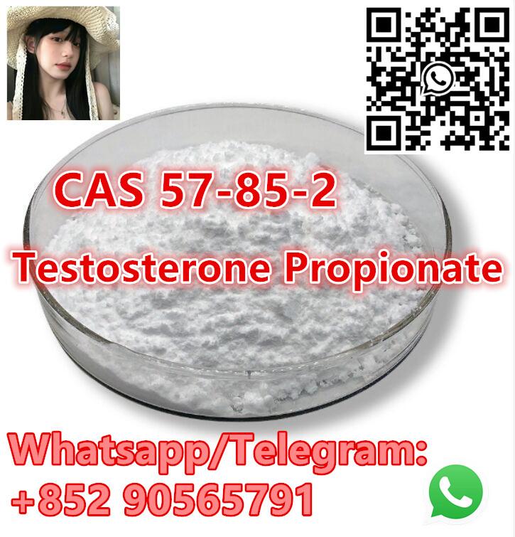 Hot Sale CAS 57-85-2 high quality with Safe Delivery