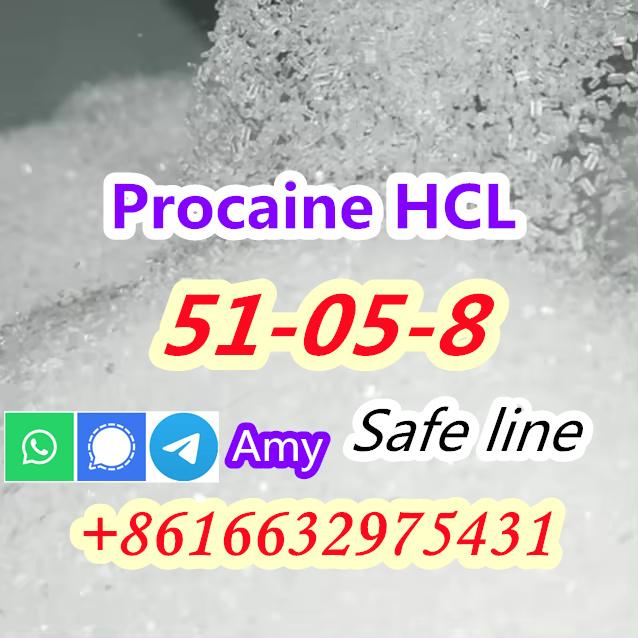 CAS 51-05-8 Procaine hydrochloride HCI buy Stock powder