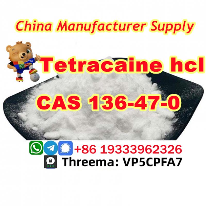 High Purity Tetracaine hydrochloride CAS no 136-47-0 Safe transportation guarantee