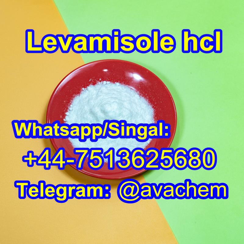 Levamisole hydrochloride levamisole powder levamisole hcl,Whatsapp/Singal:+44-7513625680,Telegram:@avachem 