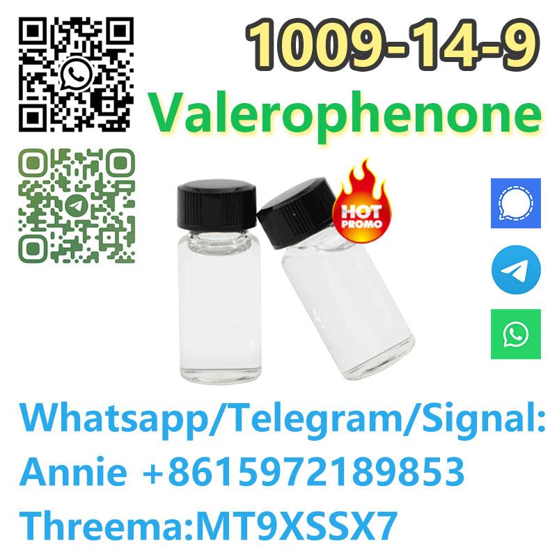 99% purity Cas 1009-14-9 Valerophenone factory price warehouse Europe