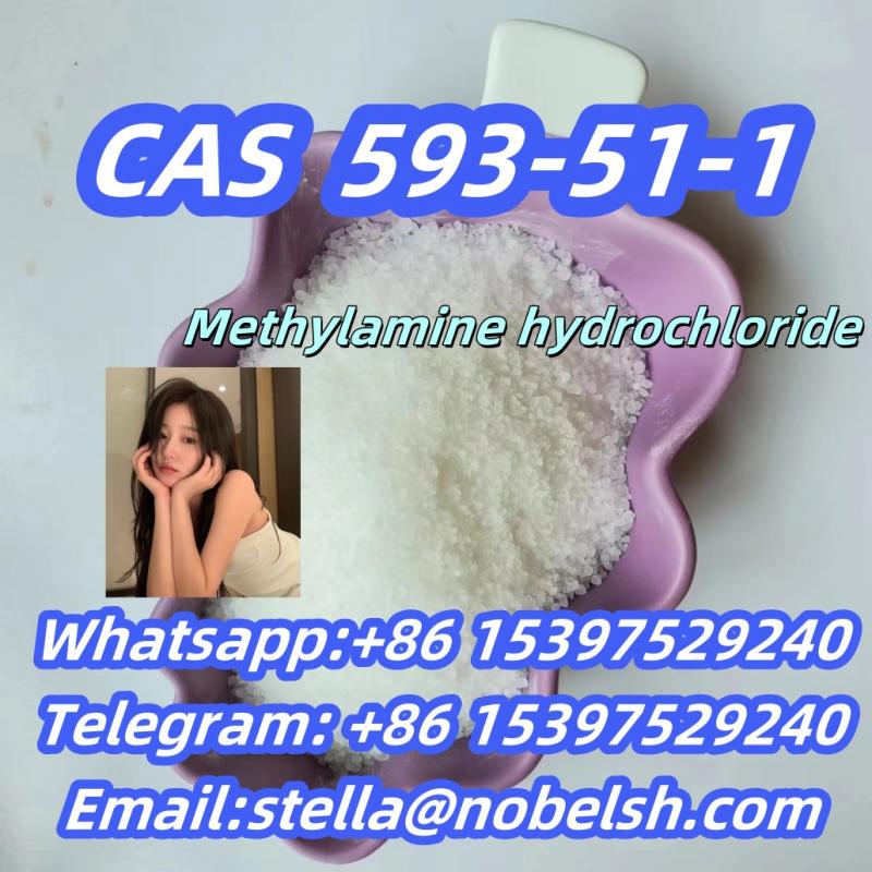 CAS:593-51-1 Methylamine hydrochloride