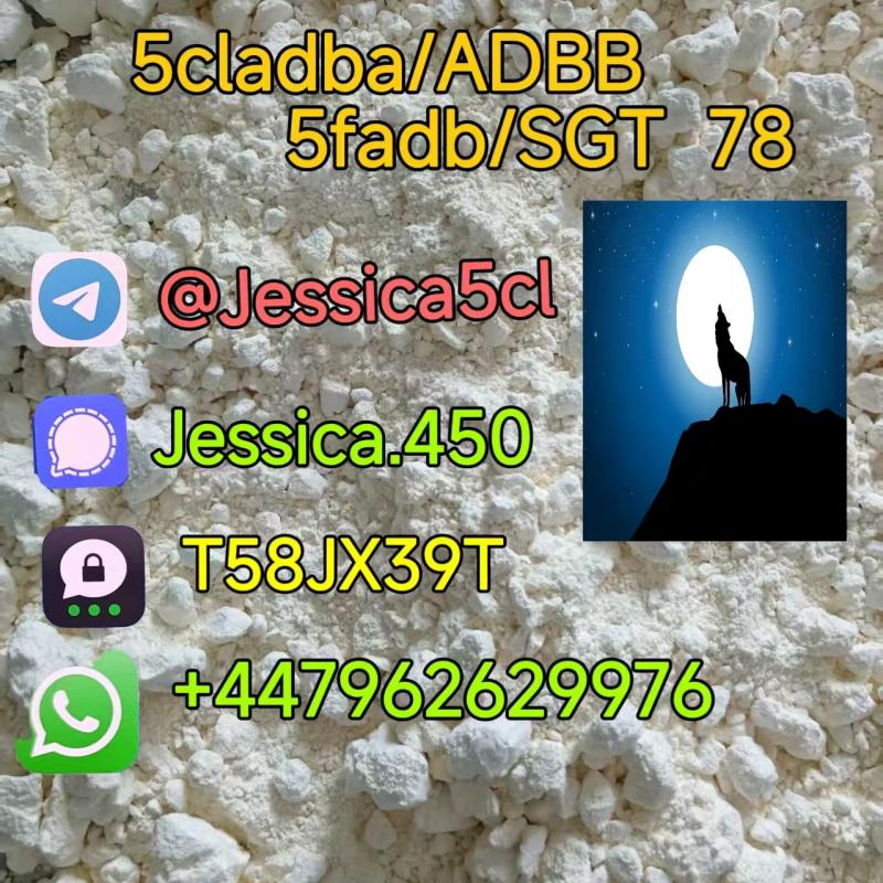 5F-ADB ADBB 5cladb precursor A-PVP 5cl rwa materials Shipping Yellow powder.pdf