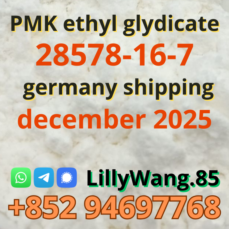 Buy PMK Ethyl Glycidate CAS 28578-16-7 powder supply (january 2026)