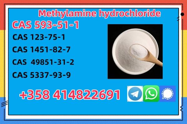 CAS 593-51-1 Methylamine hydrochloride Factory Supply High Purity 100% Safe Delivery 
