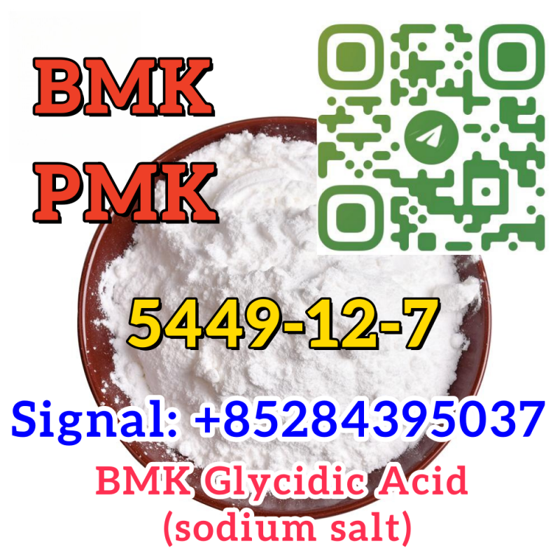 Cas 5449-12-7 New BMK sodium salt stock on sale Europe warehouse