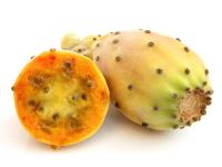 wholesale supplier of prickly pear oil