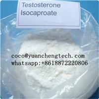 Testosterone Isocaproate (Steroids) 