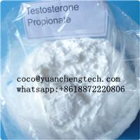 Testosterone Propionate (Steroids)	