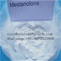 Mesterolone (Proviron) (Steroids) 