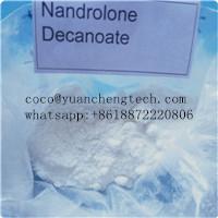 Nandrolone Decanoate	