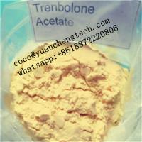  Trenbolone Acetate (Steroids) 
