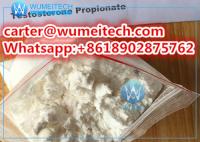 Testosterone Propionate Steroid Powder Test P for Fitness