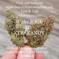 Medical marijuana, edibles and pain killers 