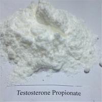 Testosterone Propionate steroids raw material supply rachel@oronigroup.com